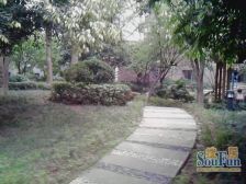 大坪 医学院路二房40万