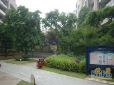 公园里的电梯花园洋房 出行方便 配套成熟