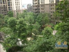 万科金域蓝湾一期 5室2厅 西南