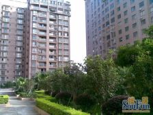 盈锋丽骏豪庭 1室1厅 西南