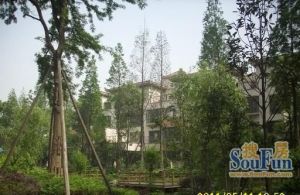 佳禾永福4室1厅南
