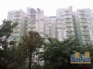 双楠家园3室1厅东