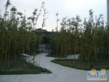 高区东边套,保养好、诚意出售,满5年税费低