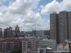 文园新村巴士站名都大厦电梯房标准1房价格实惠