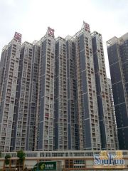 滨江新城 地铁口 户型周正 价格美丽