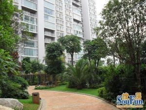 穿金路板房电梯小高层环境优美日照充足玲包入住