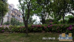 装修两房 户型好 诚心出售 拎包入住