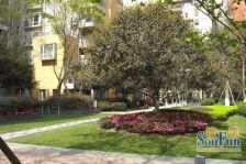 万科魅力之城四期 3室1厅 东南