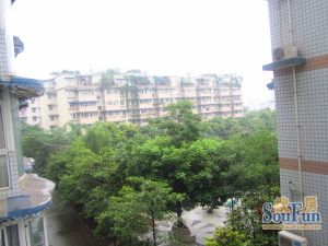 靓典4室1厅西南