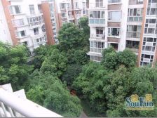 观澜半岛3室2厅西南