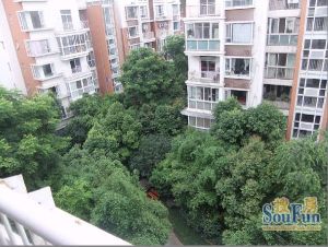 观澜半岛3室2厅西南