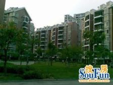 电梯中层,端头户型,三面采光,户型型正