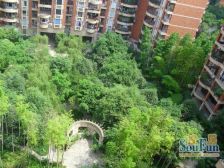 黄泥磅 佳华世纪新城A区五房164.8万