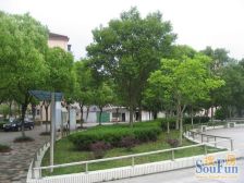 近地铁站,镇中位置,楼下就是步行街,两房朝南阳光好