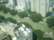 金府花园 4室2厅 东南