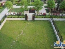 南海桂城 桂海花园 独栋别墅 小区物业管理 望江园林