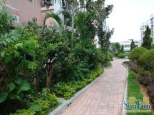 莞城电梯3房有花园 满五唯一税费少 户型方正无欠款