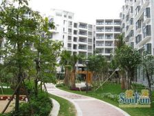 谢家湾 盾安文化苑二房63万