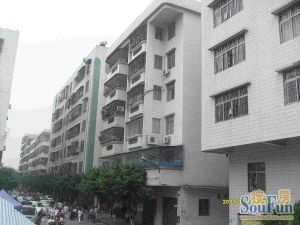 庆业楼 2室2厅 南