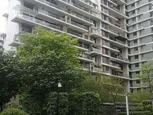 金地九龙壁电梯1房,高楼层视野无遮挡,采光通风好