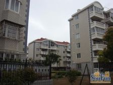 向阳新村(宝山) 1室1厅 南