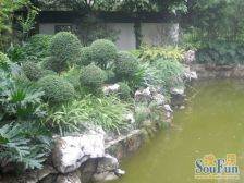 南海颐景园 南向 实用小户型 配套齐全