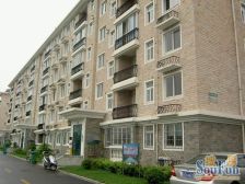 大开间,环境优美,居家装修,诚意出售