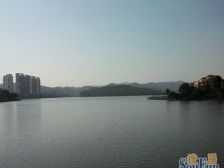 房子户型方正,朝向采光好,视野开阔。