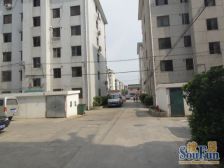 园林小区,全明双南户型,安家优选