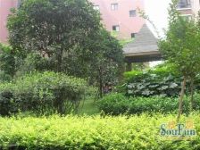 丽水金都3室2厅东南
