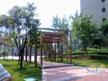 鲁能星城六街区看公园精装大平层 感觉nice得很