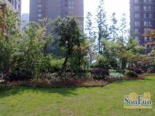 鲁能星城园上 2室2厅 南