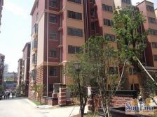 文沃菜市场文泰康城烟火气旺盛出行方便