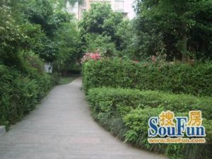 边城水恋 4室2厅 东南