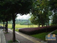 北部新区 渝北财富中心国际公寓三房164.8万