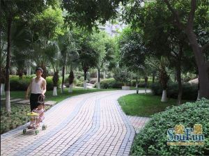 中华家园西区3室2厅南