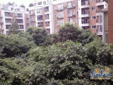 如意人家 4室2厅 南