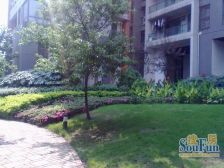 五街区正规两房,霸熟粗糕制表,出行方便