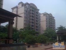 丽雅苑南区,高层复式,中空厅,望花园。