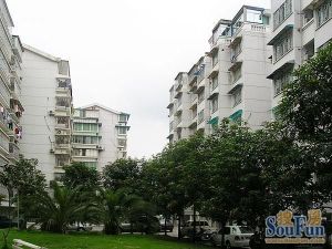 省直湖前小区电梯3楼 业主诚意出售