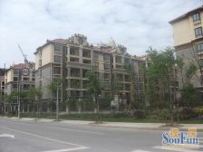 奉贤新城+望园路+上海之鱼+金海公路红梅隧道直达中环