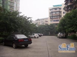 兰园3室1厅东南