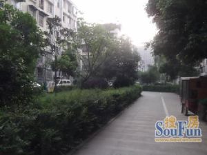 红花村1号3室2厅南