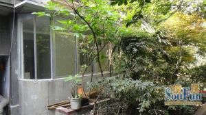 东马棚街10号2室1厅东