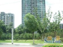 金桥花园2室西南朝向750.00万元/套出售