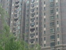 40平大露台,近中环,14号线,成熟配套,南北通透