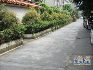 邮政局家属院3室1厅东南