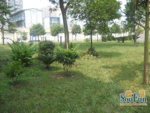 三九八家属区 2室1厅 东南