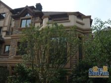 金科品质别墅,背山靠水,安静,适合住家