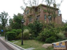 总高三层联排别墅,小区绿化高 低密度 南向采光好